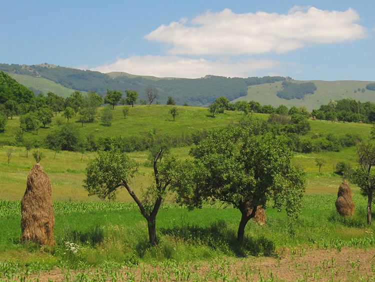 5 Best places to stay in Banat Romania